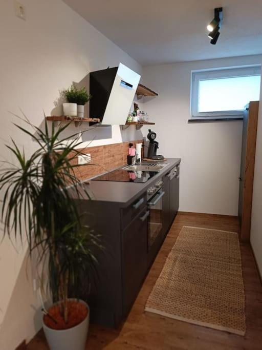 Altholzapartment In Kempten Waltenhofen Esterno foto
